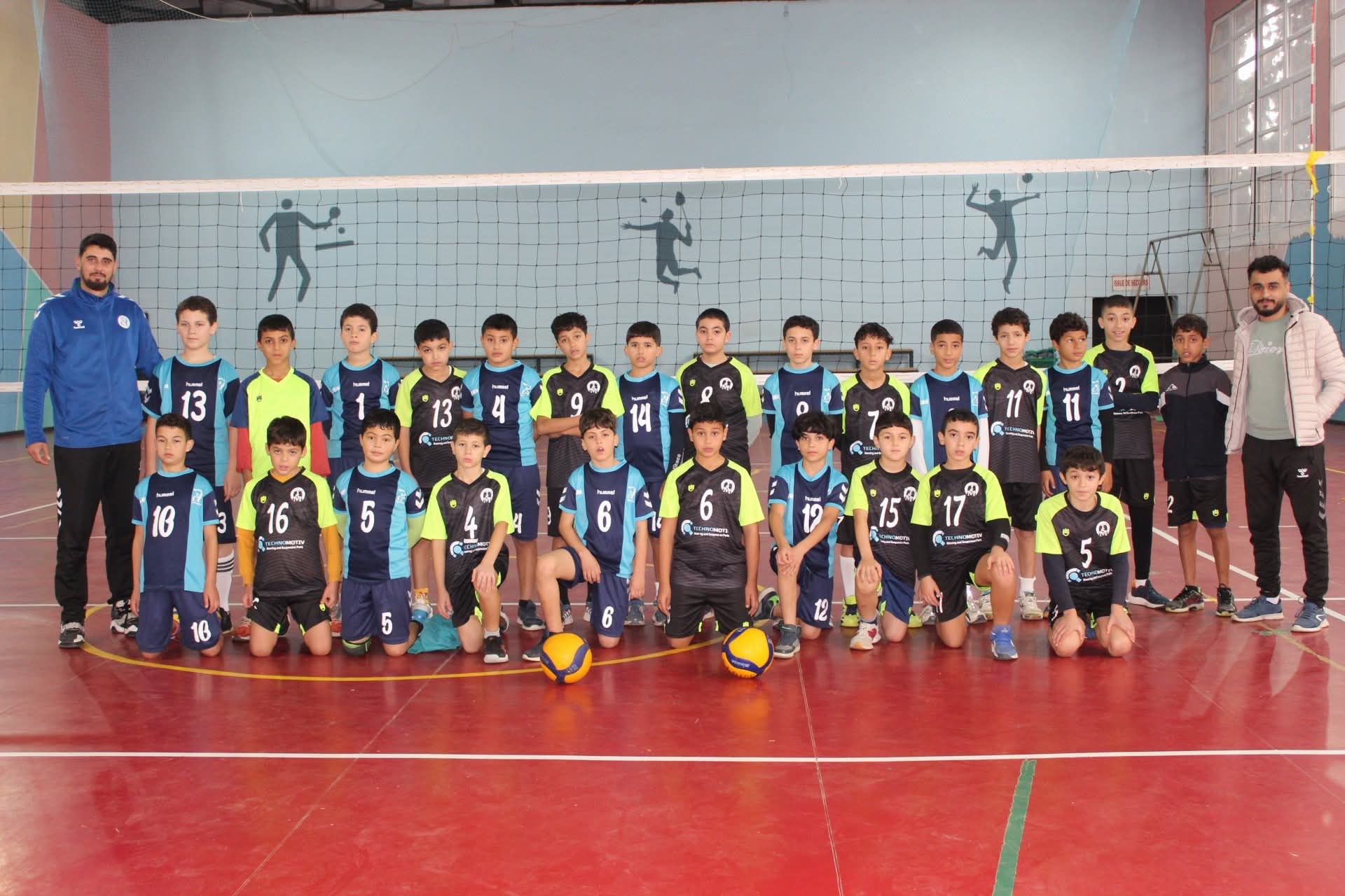 كرة الطائرة