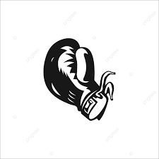 الملاكمة