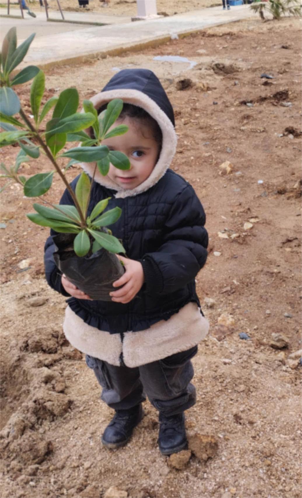 النادي الأخضر