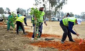 زراعة الأشجار والشُتلات (التشجير)