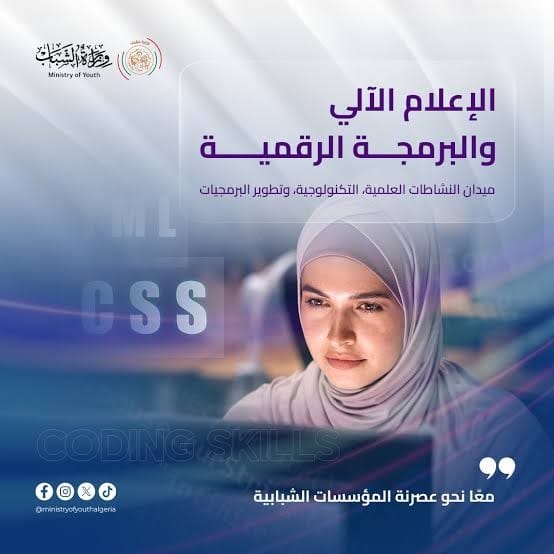 برمجة رقمية