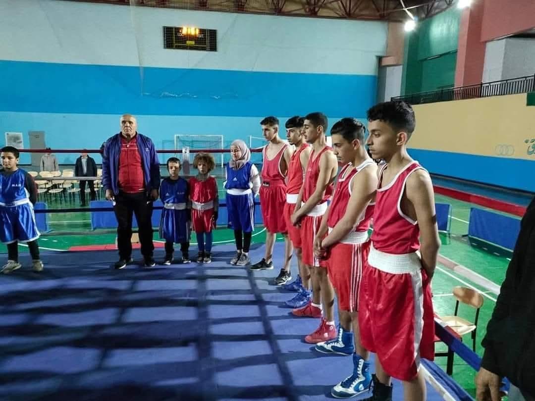 الفنون القتالية المختلطة