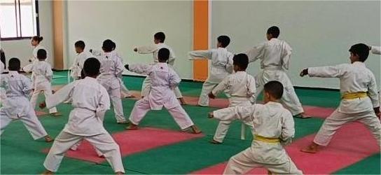 إستعراضات رياضية