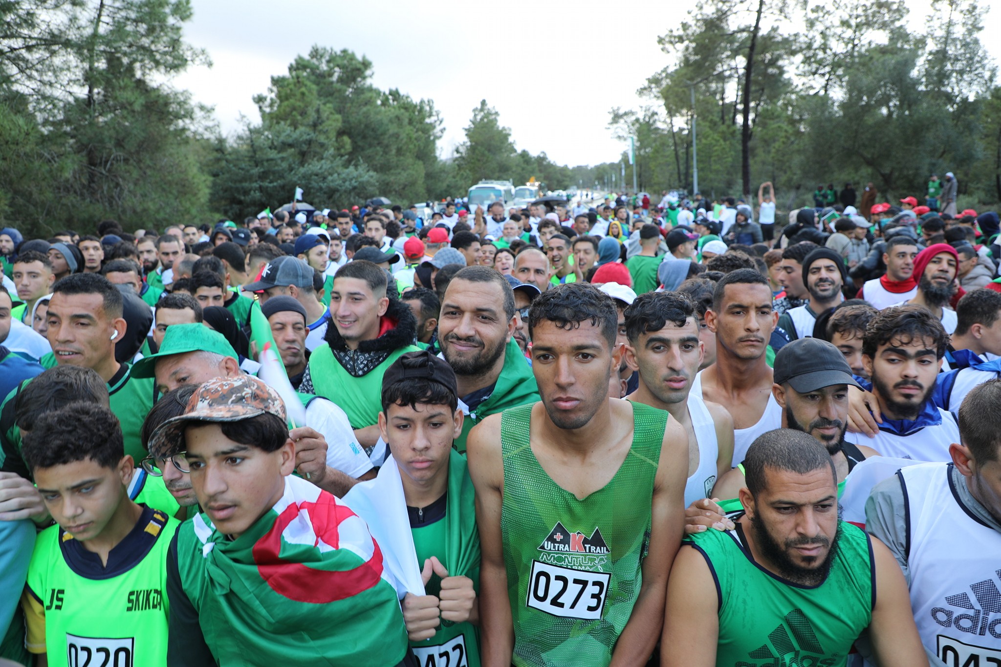 صورة من النشاط